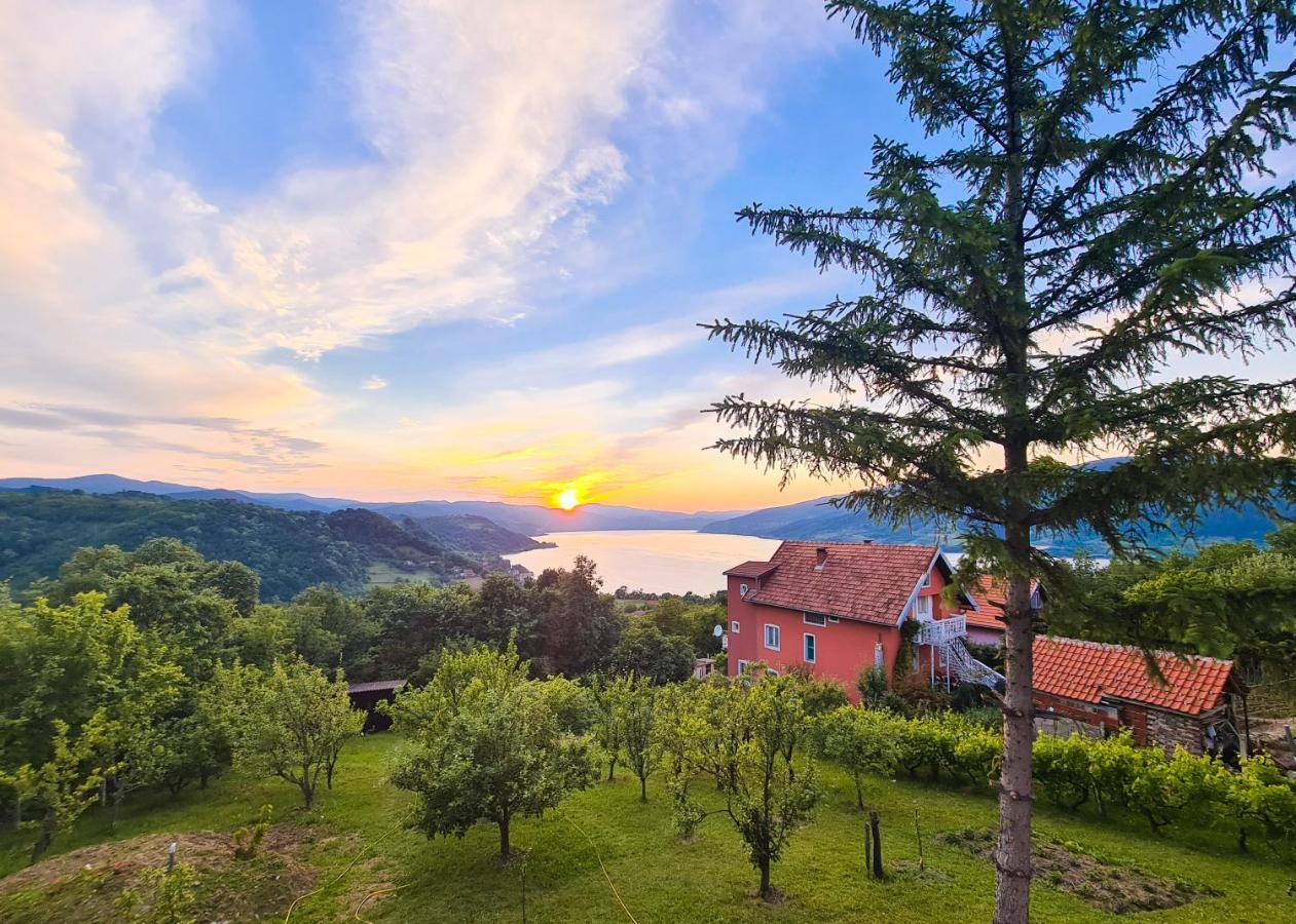 Apartman Kuljanin Donji Milanovac Bagian luar foto