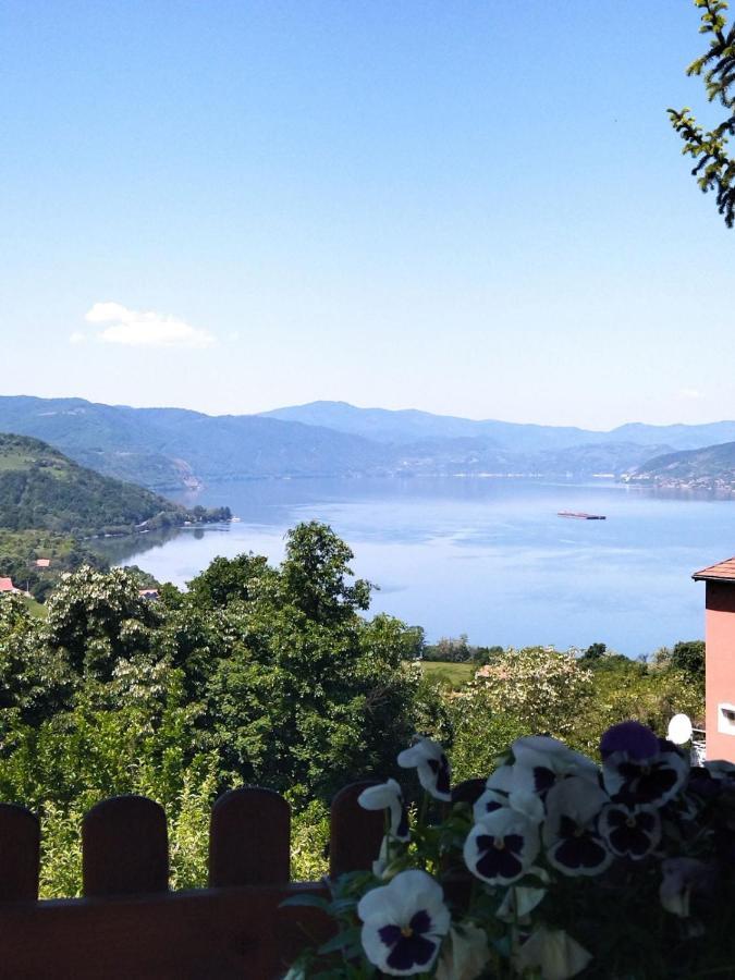 Apartman Kuljanin Donji Milanovac Bagian luar foto
