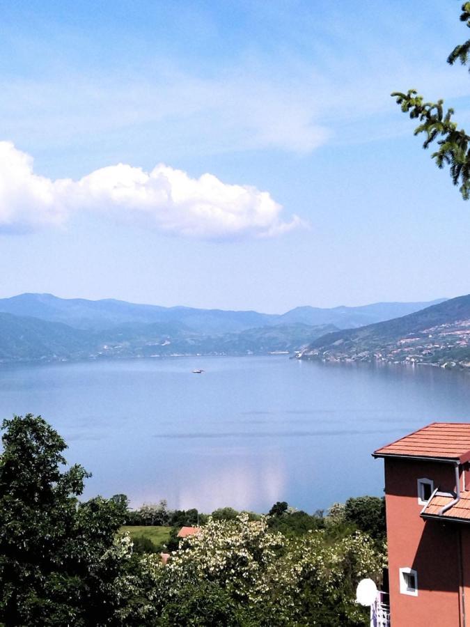 Apartman Kuljanin Donji Milanovac Bagian luar foto
