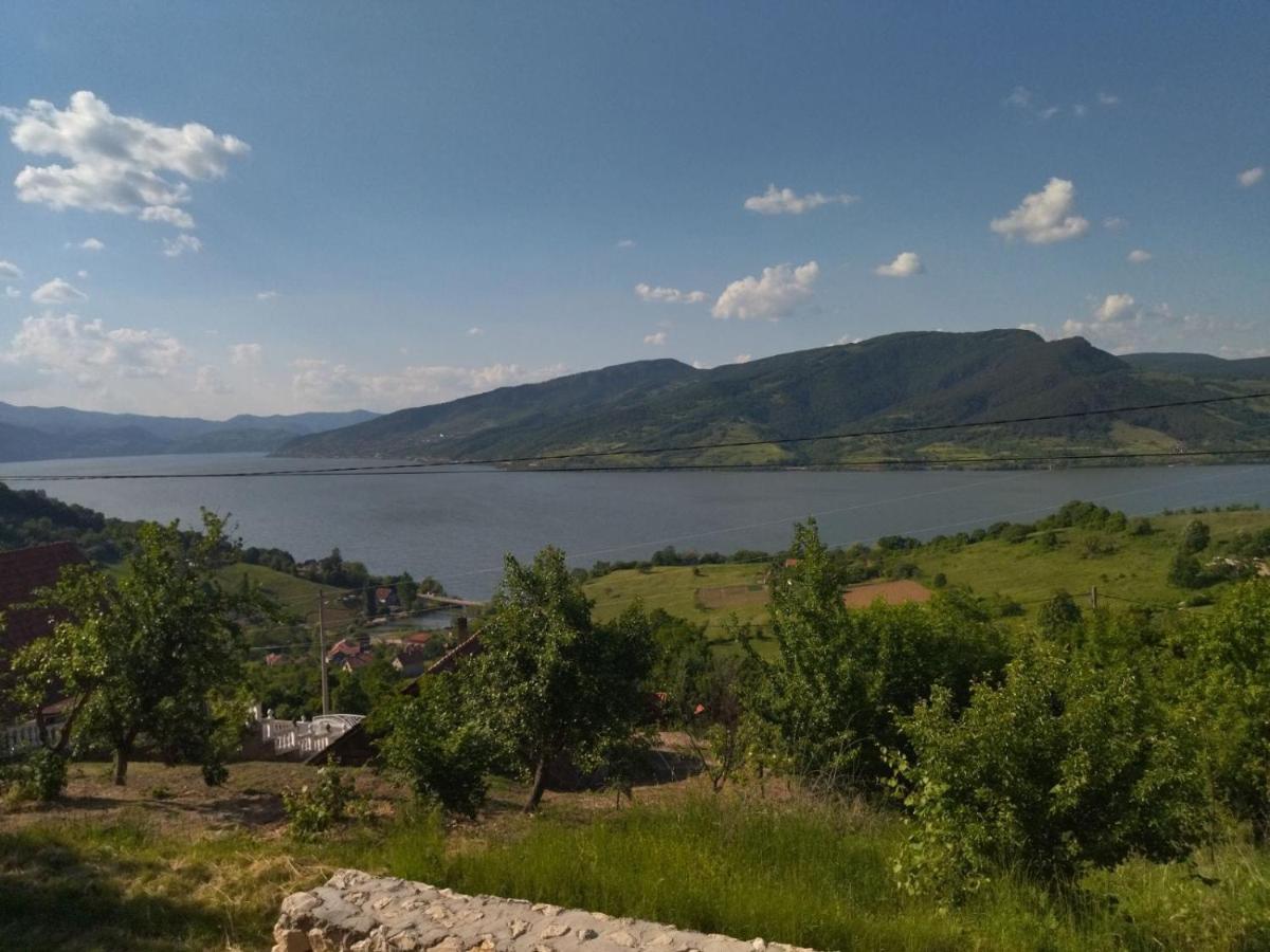 Apartman Kuljanin Donji Milanovac Bagian luar foto