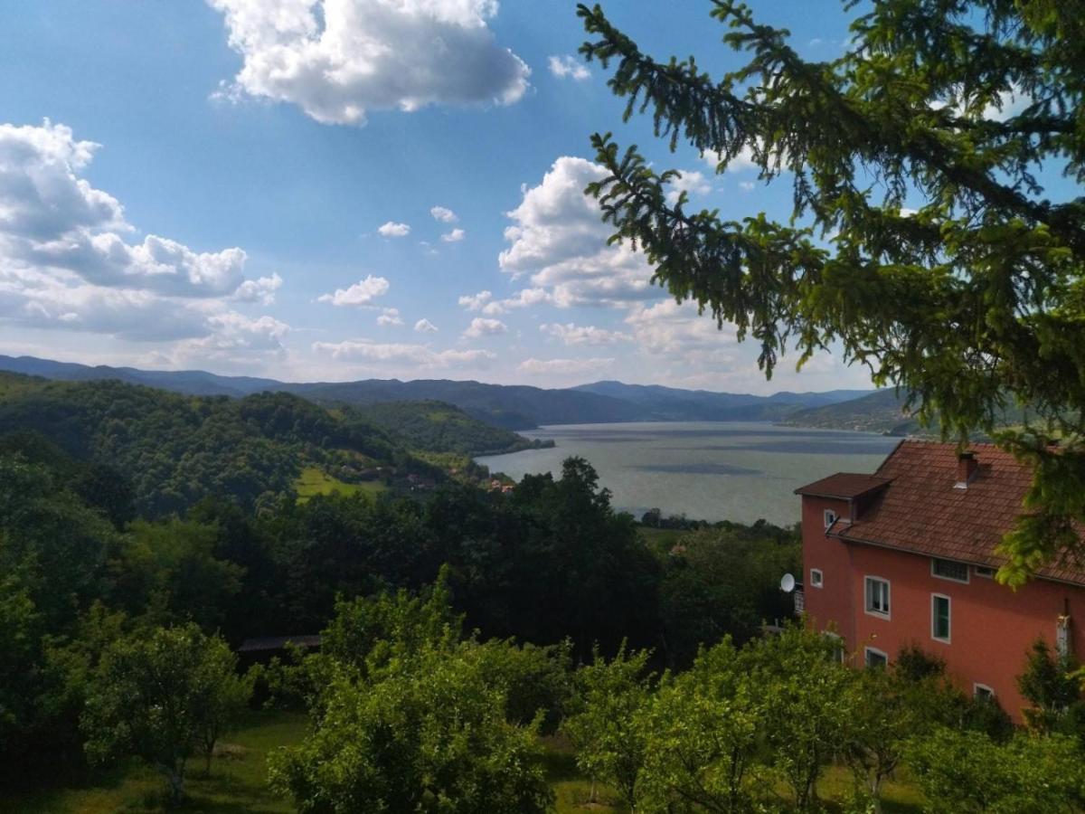 Apartman Kuljanin Donji Milanovac Bagian luar foto
