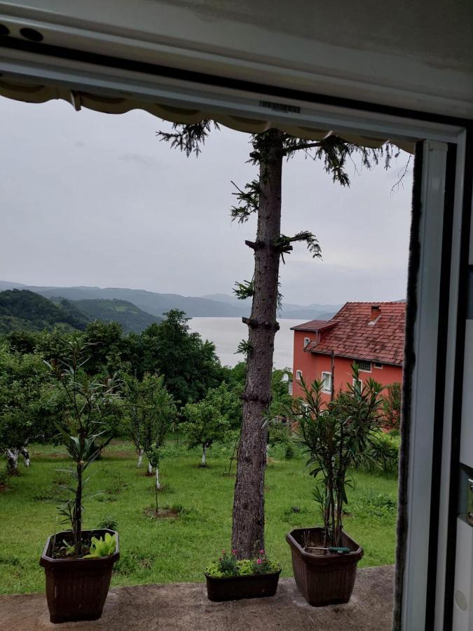 Apartman Kuljanin Donji Milanovac Ruang foto