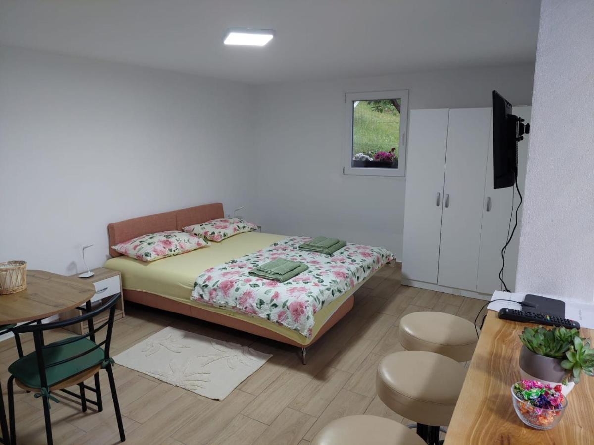 Apartman Kuljanin Donji Milanovac Ruang foto